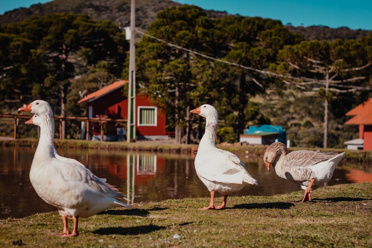 Pousada Lago Da Colina Urubici Exterior photo